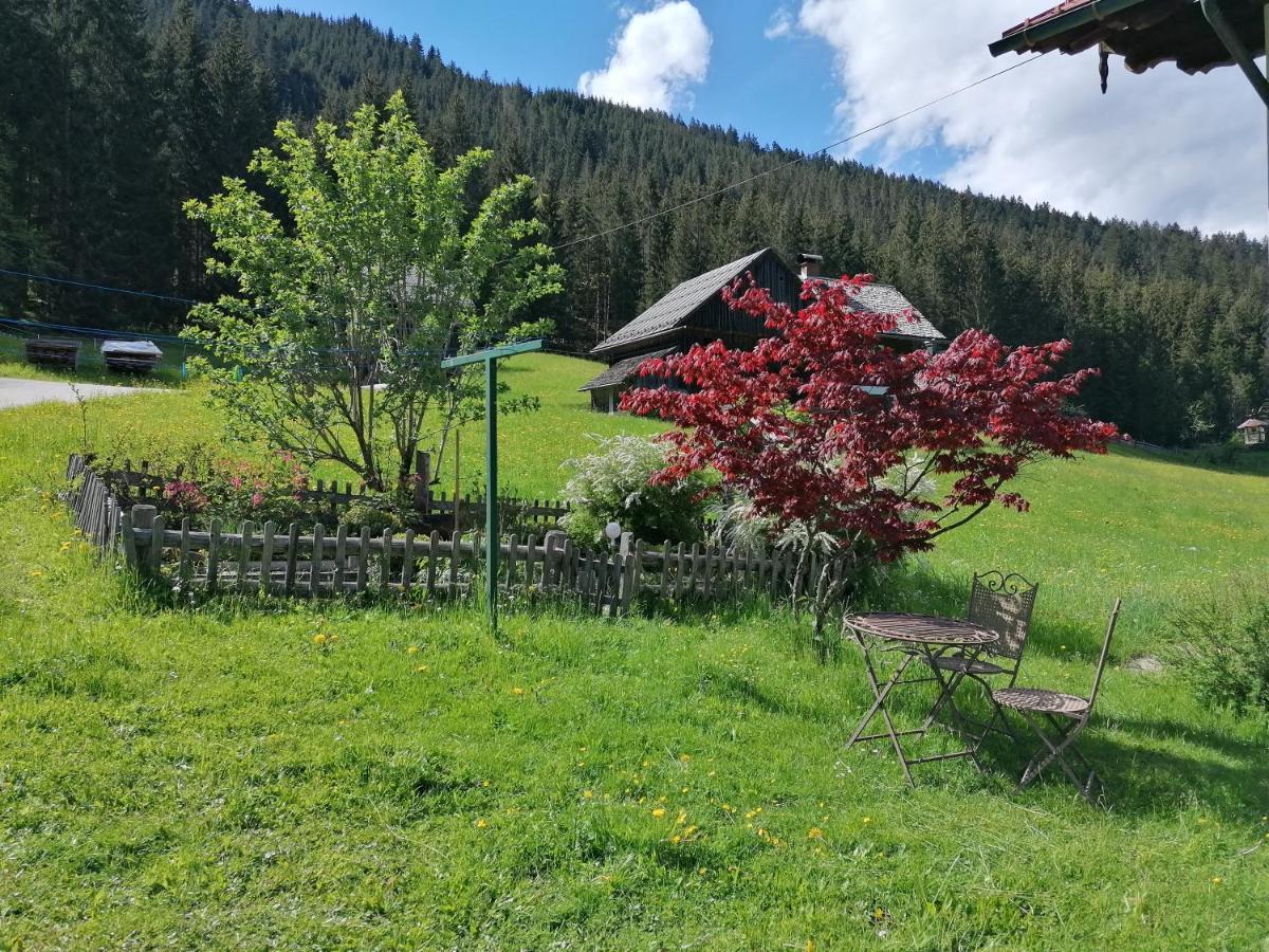 Ferienwohnungen Asterbach Gosau Dış mekan fotoğraf