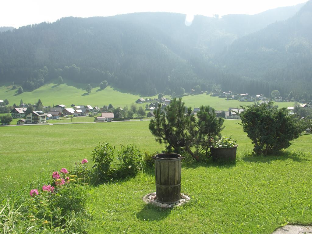 Ferienwohnungen Asterbach Gosau Dış mekan fotoğraf