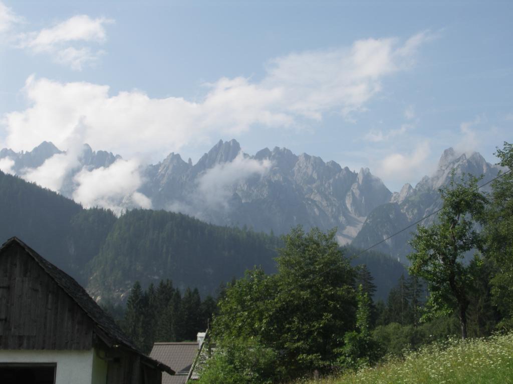Ferienwohnungen Asterbach Gosau Dış mekan fotoğraf